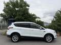 Ford Kuga 1,5TDCi Titanium Aut. AHK Kamera CarPlay Keyless Weiß - thumbnail 2