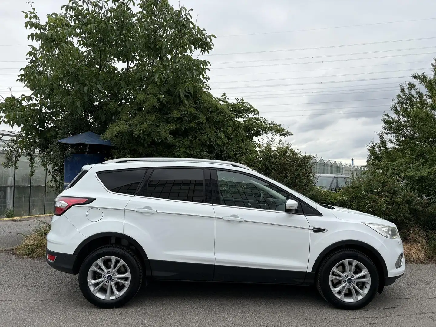 Ford Kuga 1,5TDCi Titanium Aut. AHK Kamera CarPlay Keyless Weiß - 2