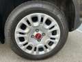Fiat Panda Panda 1.2 Easypower 69 cv GPL casa madre *PROMO* Gris - thumbnail 14