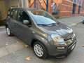 Fiat Panda Panda 1.2 Easypower 69 cv GPL casa madre *PROMO* Gris - thumbnail 2