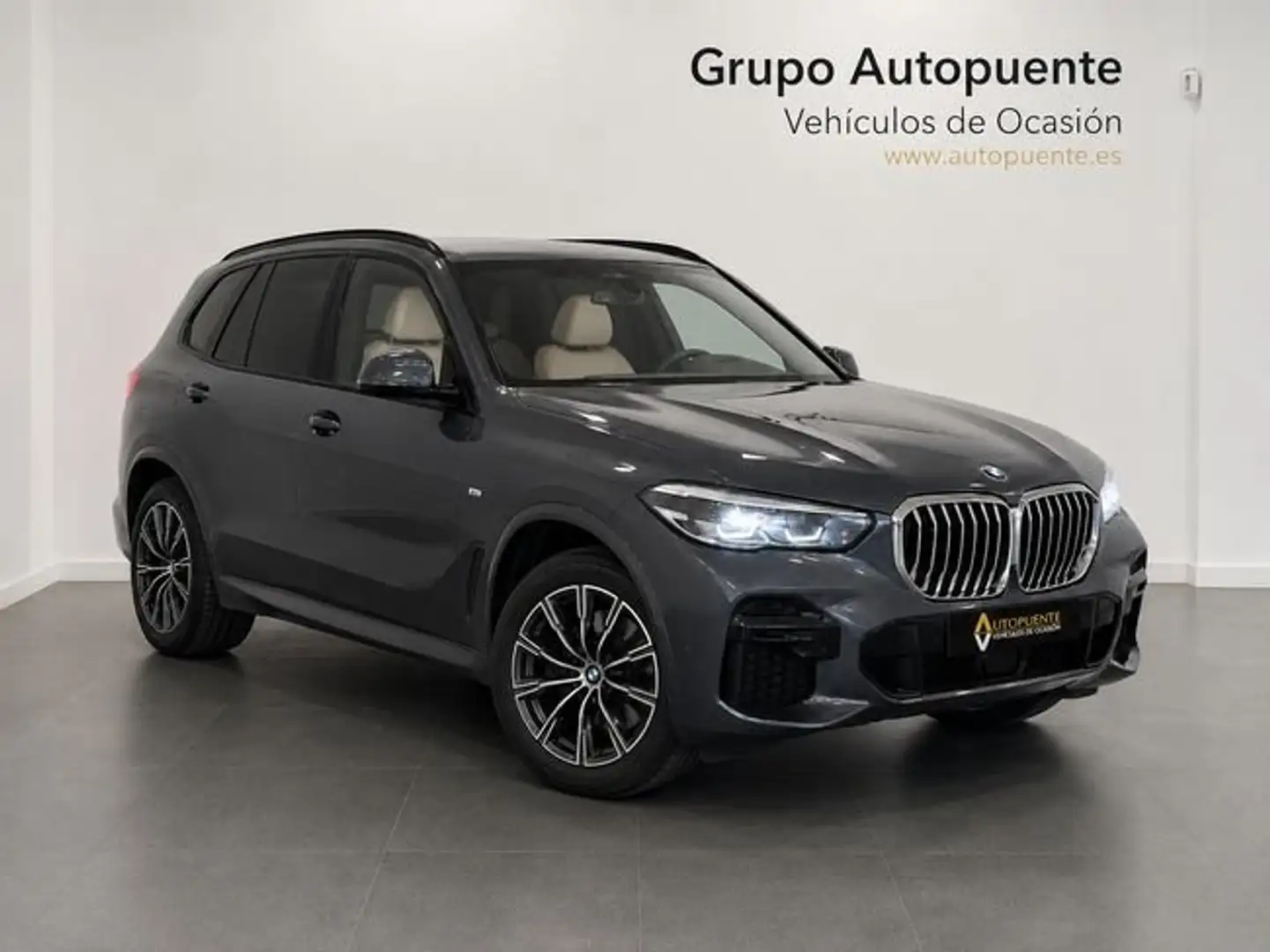 BMW X5 xDrive 45e Gris - 1