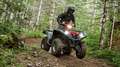 Yamaha Grizzly 700 EPS 2025 Alu - T3b Strassenzulassung möglich Grau - thumbnail 4
