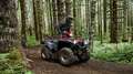 Yamaha Grizzly 700 EPS 2025 Alu - T3b Strassenzulassung möglich Grau - thumbnail 10