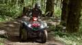 Yamaha Grizzly 700 EPS 2025 Alu - T3b Strassenzulassung möglich Grau - thumbnail 5