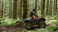 Yamaha Grizzly 700 EPS 2025 Alu - T3b Strassenzulassung möglich Grau - thumbnail 7