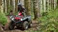 Yamaha Grizzly 700 EPS 2025 Alu - T3b Strassenzulassung möglich Grau - thumbnail 9