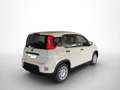 Fiat Panda Hybrid 1.0 GSE 51kw (70PS) White - thumbnail 6