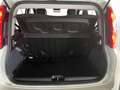 Fiat Panda Hybrid 1.0 GSE 51kw (70PS) White - thumbnail 21