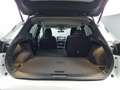 Nissan Qashqai -24% 1.3 DIG-T 158CV MHEV BVA +GPS+CAM360+LED Blanco - thumbnail 12