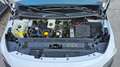 Mercedes-Benz Citan Citan Kastenwagen 110 CDI Base Weiß - thumbnail 15