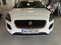 Jaguar E-Pace E-Pace 2.0I4 P200 HSE AWD Aut. HSE Weiß - thumbnail 7