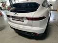Jaguar E-Pace E-Pace 2.0I4 P200 HSE AWD Aut. HSE Weiß - thumbnail 3