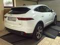 Jaguar E-Pace E-Pace 2.0I4 P200 HSE AWD Aut. HSE Weiß - thumbnail 4
