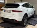 Jaguar E-Pace E-Pace 2.0I4 P200 HSE AWD Aut. HSE Weiß - thumbnail 5