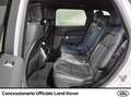 Land Rover Range Rover Sport 3.0 tdv6 hse dynamic 249cv auto Weiß - thumbnail 6