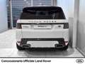 Land Rover Range Rover Sport 3.0 tdv6 hse dynamic 249cv auto Weiß - thumbnail 4