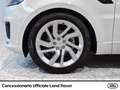 Land Rover Range Rover Sport 3.0 tdv6 hse dynamic 249cv auto Weiß - thumbnail 15