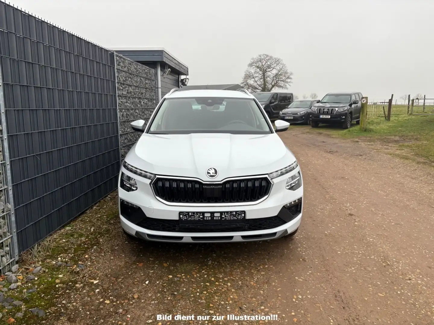 Skoda Kamiq 1.5 TSI DSG 130 Jahre Premium Weiß - 2
