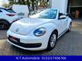 Volkswagen Beetle BMT 1.2*AUT.*R KAM.*2HAND*12 MON.GARANTIE White - thumbnail 1