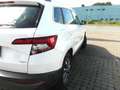 Skoda Karoq Diesel 2.0 TDI 4x4 DSG Drive, Navi, Kamera,PDC,Alu Weiß - thumbnail 4