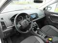Skoda Karoq Diesel 2.0 TDI 4x4 DSG Drive, Navi, Kamera,PDC,Alu Weiß - thumbnail 12