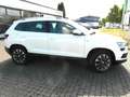 Skoda Karoq Diesel 2.0 TDI 4x4 DSG Drive, Navi, Kamera,PDC,Alu Weiß - thumbnail 5