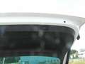 Skoda Karoq Diesel 2.0 TDI 4x4 DSG Drive, Navi, Kamera,PDC,Alu Weiß - thumbnail 14