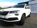 Skoda Karoq Diesel 2.0 TDI 4x4 DSG Drive, Navi, Kamera,PDC,Alu Weiß - thumbnail 2