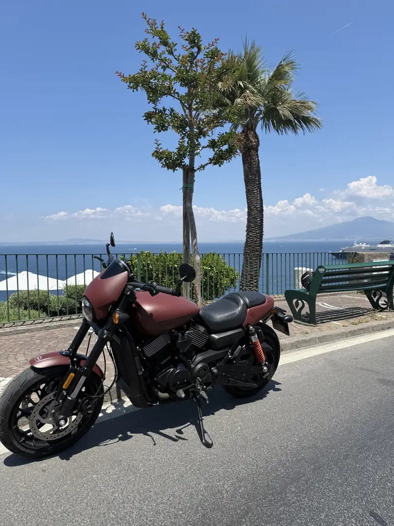 Harley-Davidson Street Rod - 1