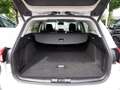 Ford Focus Turnier 1.0 EcoBoost Titanium X ACC LED Blanc - thumbnail 10