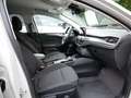 Ford Focus Turnier 1.0 EcoBoost Titanium X ACC LED Blanc - thumbnail 6
