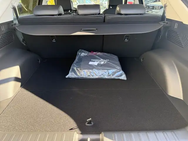 Hyundai Ioniq 5 view 12
