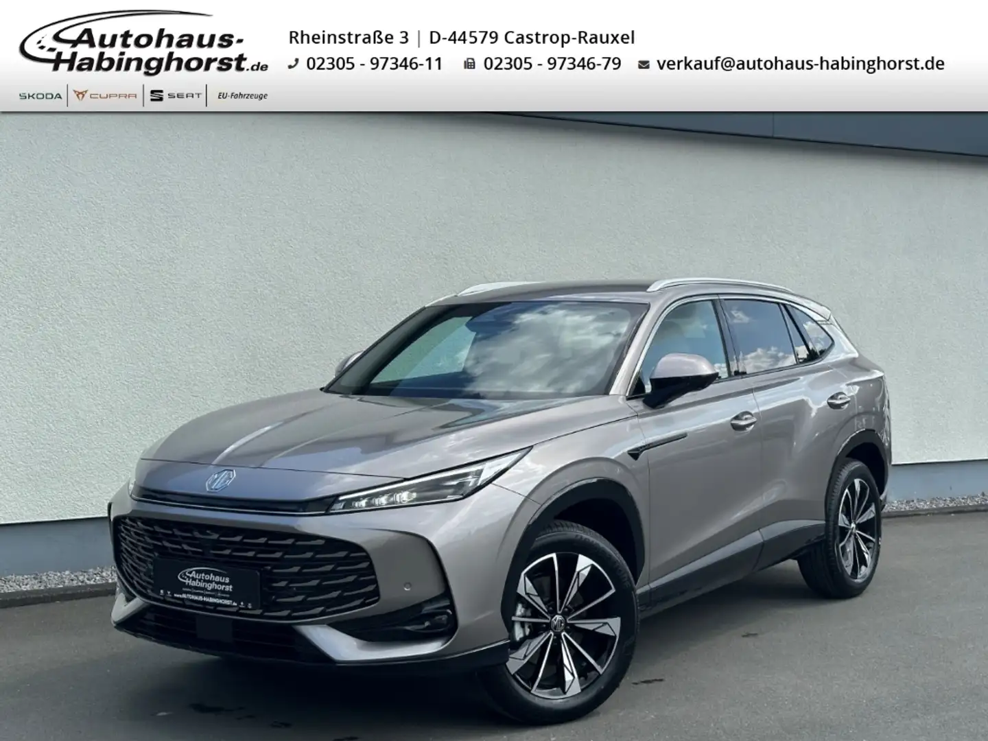 MG HS 1.5 T GDI Turbo Luxury LED 360Kamera Shz PDC Klima Silber - 1