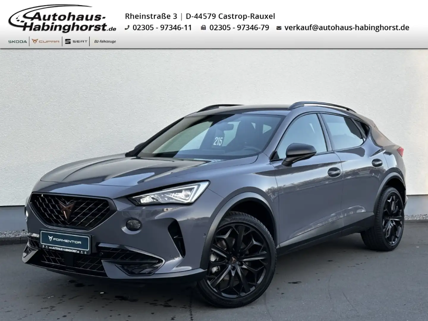 CUPRA Formentor 1.5 TSI DSG Tribe Edition Kamera e.Hk AHK Navi Bea Grau - 1