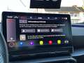 CUPRA Formentor 1.5 TSI DSG Tribe Edition Kamera e.Hk AHK Navi Bea Grau - thumbnail 12