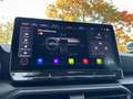 CUPRA Formentor 1.5 TSI DSG Tribe Edition Kamera e.Hk AHK Navi Bea Grau - thumbnail 31