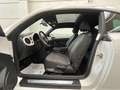 Volkswagen Maggiolino Maggiolino 1.6 tdi Design 105cv Bianco - thumbnail 11