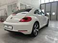 Volkswagen Maggiolino Maggiolino 1.6 tdi Design 105cv Bianco - thumbnail 12