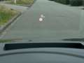 Audi RS7 Sportback 4.0 TFSI Quattro Pro Line Plus SOFTCLOSE Grijs - thumbnail 22