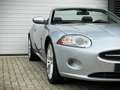 Jaguar XK 4.2 V8 Convertible / YOUNGTIMER / FULL SERVICE FIL Gris - thumbnail 15