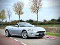 Jaguar XK 4.2 V8 Convertible / YOUNGTIMER / FULL SERVICE FIL Gris - thumbnail 1