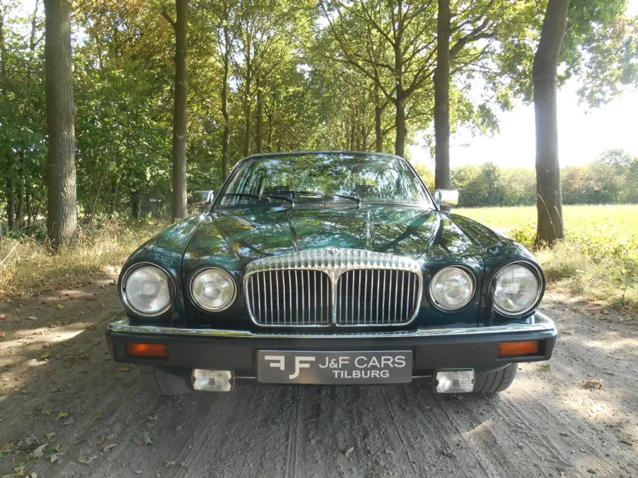 Daimler 5.3 V12 Double Six, foto 2