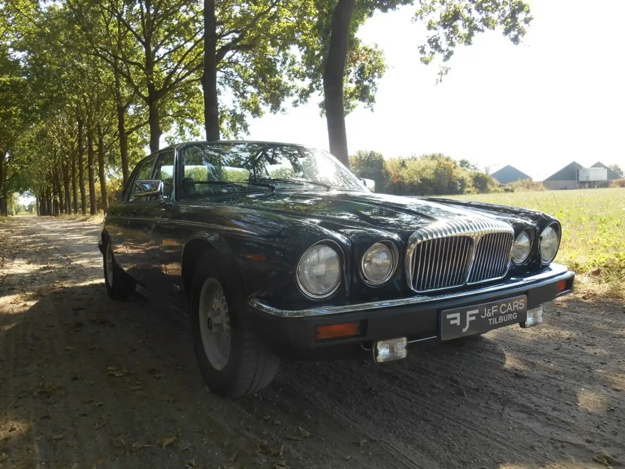Daimler 5.3 V12 Double Six, foto 4
