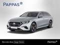Mercedes-Benz E 300 de 4MATIC T-Modell mit EQ Hybrid Technologie Öster Silber - thumbnail 1