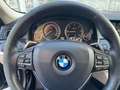 BMW 525 Serie 5 Touring 525d Touring xdrive Futura auto Blu/Azzurro - thumbnail 11