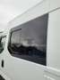 Iveco Daily double cabine boîte automatique Blanc - thumbnail 5