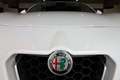 Alfa Romeo Stelvio Stelvio 2.2 t Business Q4 180cv auto Bianco - thumbnail 7