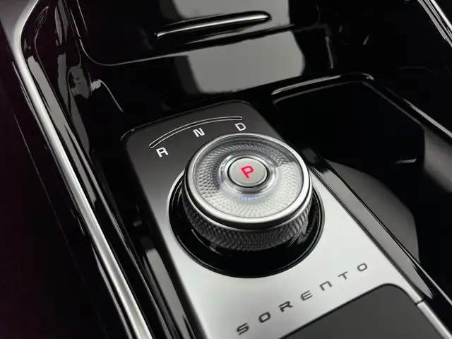 Kia Sorento view 15