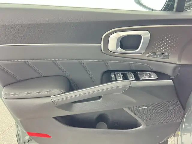Kia Sorento view 10