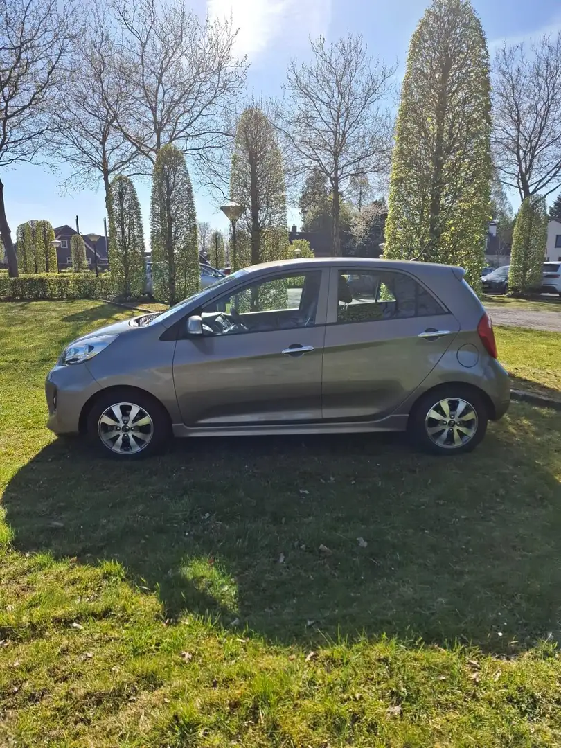 Kia Picanto 1.2 CVVT DynamicLine Gris - 2